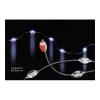 LED Leiste DMC-Snake 10 LED 1m     weiss