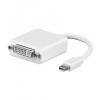 Mini-Display-Port auf DVI Buchse Adapter