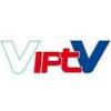 VIPTV Ersatz Fernbedienung