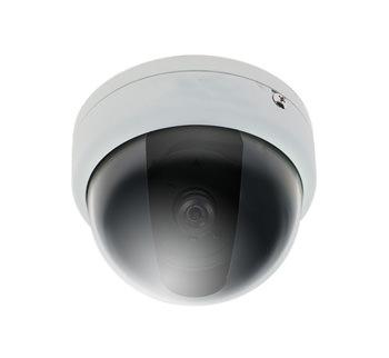 Lupus Cam LE-331