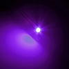 UV / Schwarzlicht